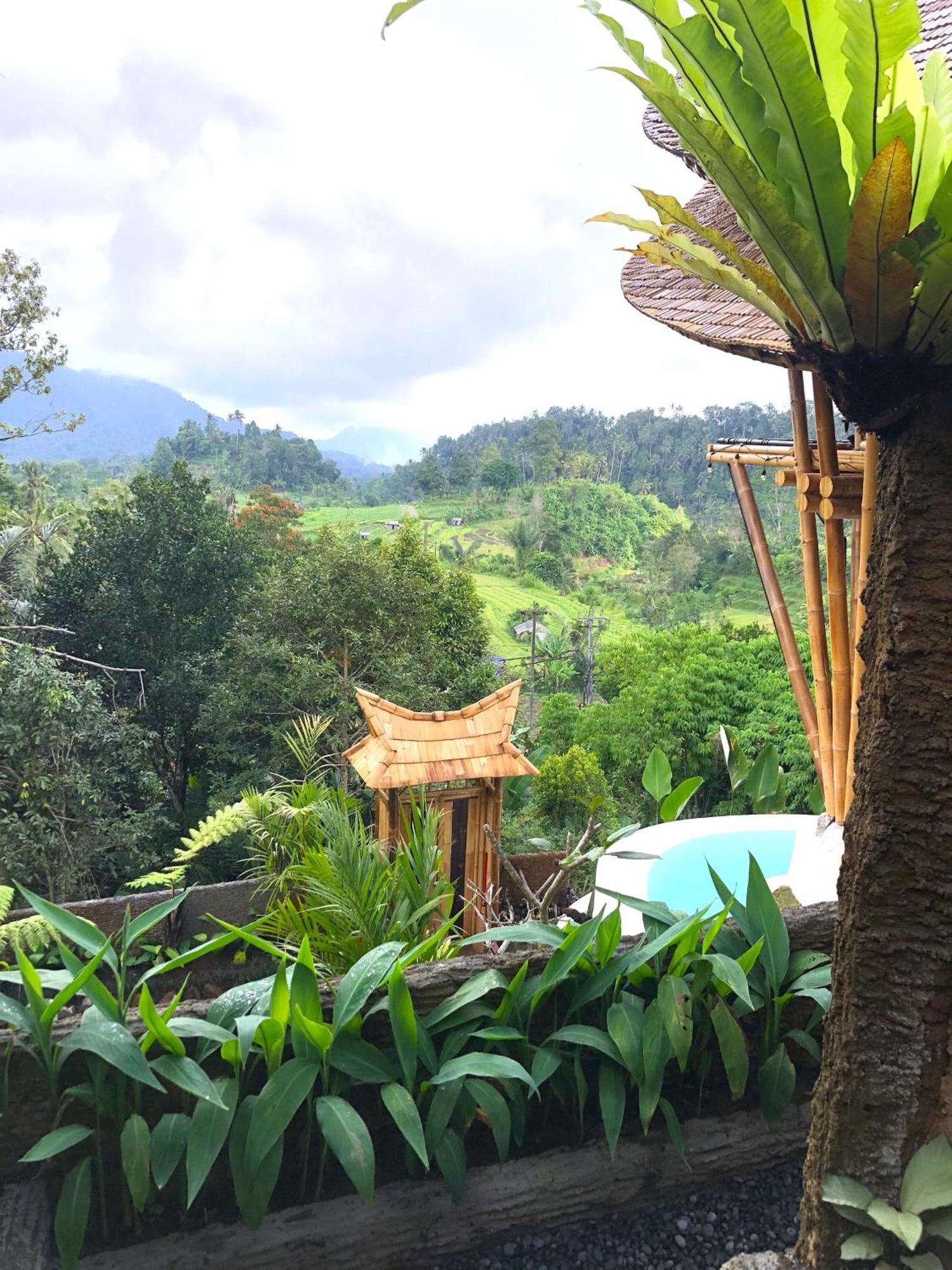Selat Danaswari Bali Bamboo Houseヴィラ エクステリア 写真