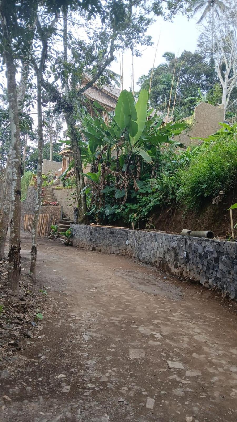 Selat Danaswari Bali Bamboo Houseヴィラ エクステリア 写真
