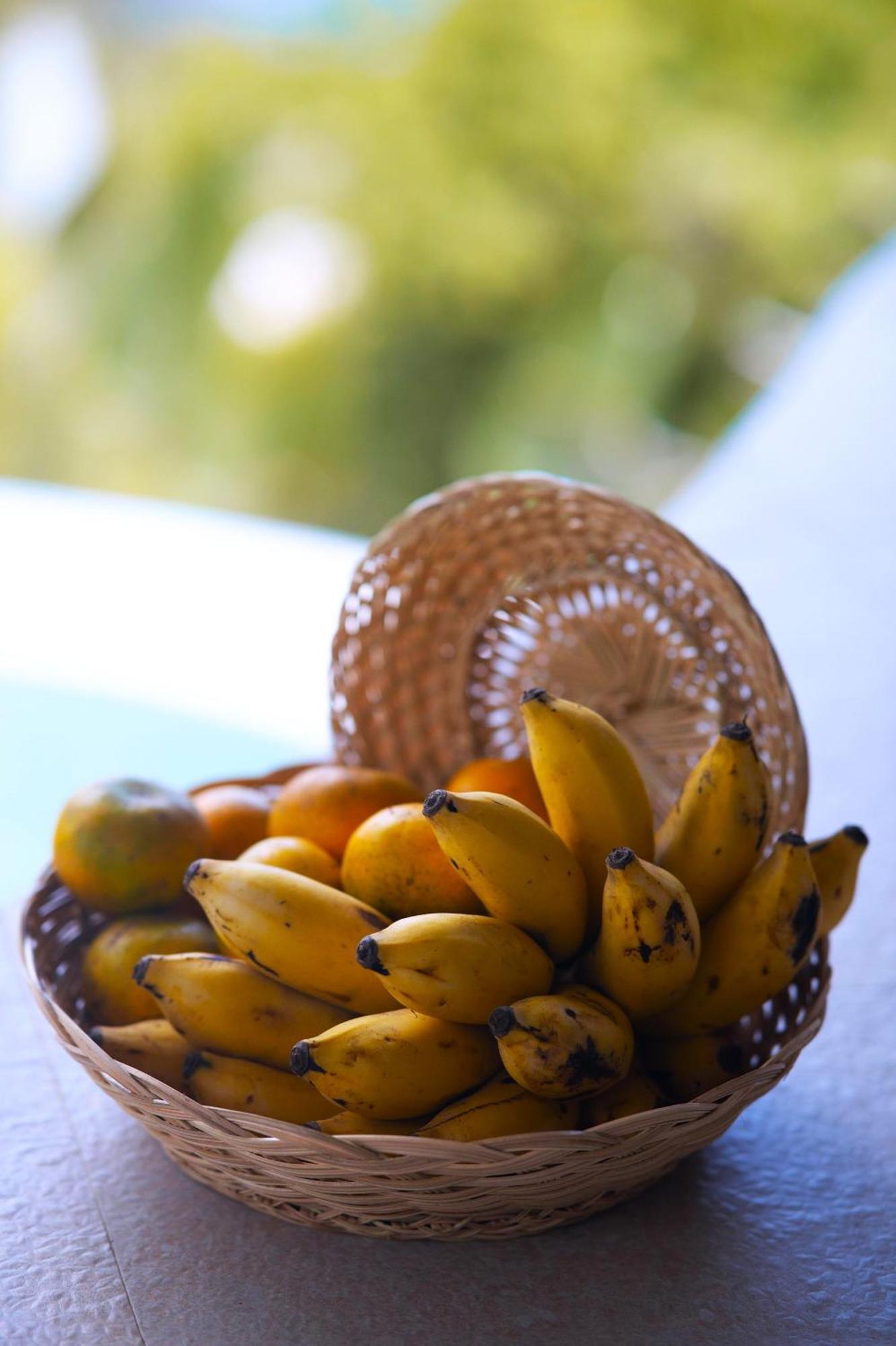 Selat Danaswari Bali Bamboo Houseヴィラ エクステリア 写真